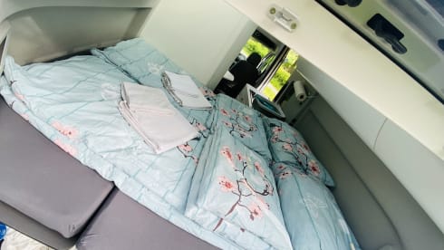 Faultier – ❤️FAULTIER CAMPER VW GRAND CALIFORNIA❤️