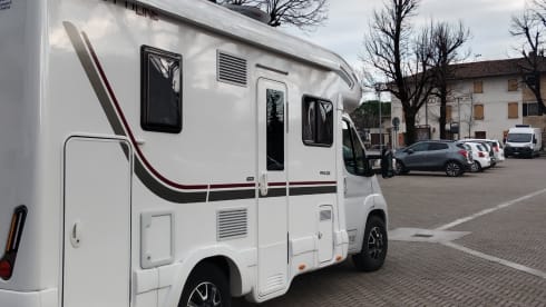 Gian – Giottiline Siena 350