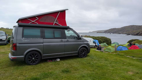 SK22 XAO – Volkswagen California T6.1