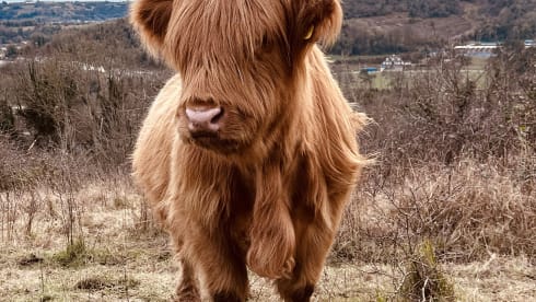 Coopers Camper – Autobus Peugeot a 4 posti letto dal 2022