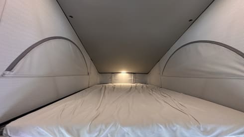 van 4 motion – ! CHRISTMAS PROMOTION: 6 NIGHTS + 1 NIGHT FREE. VW CALIFORNIA OCEAN NEW 2023