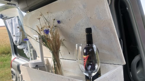 Willi – Vermiete Renault Kangoo Minicamper Eigenumbau