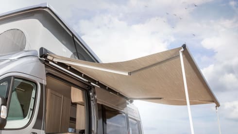 Winnie  – 4 berth, 4 belt (2023)