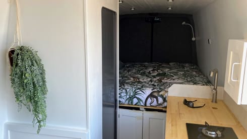 Betty  – Gorgeous and Spacious Mercedes Sprinter - 