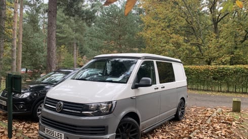 Badger  – Salisbury Camper Van