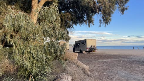 Rapido – Modern 4p Rapido 696F premium edition