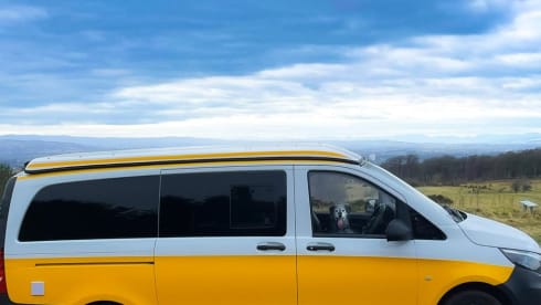 Doris – Fancy Doris? MB Vito Campervan!