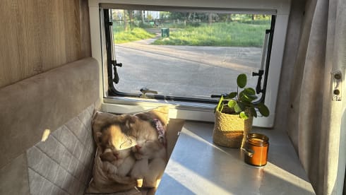 Bowie – Attractive, luxurious, off-grid campervan (incl. all-risk insurance)