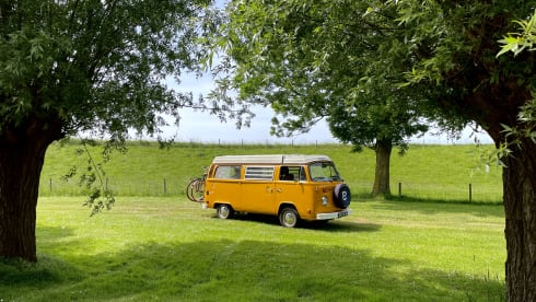 Ga op duurzame roadtrip met Calandria! ⚡️🚐 – 100% Electric! ⚡️ VW T2 "Calandria"
