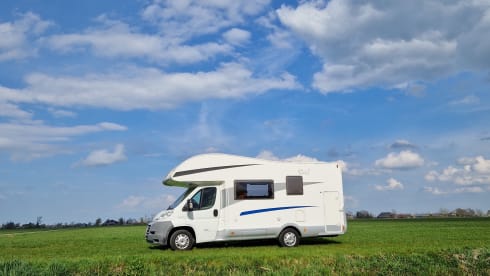 Fiat Mc Louis - 4 pers. camper with bunk bed and alcove