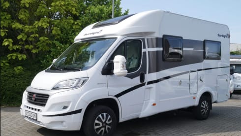 2p Carado semi-integrated from 2019