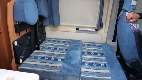 TheTripTherapy – If you can dream it you can do it.