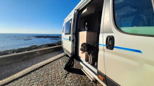 Lichtenberg – Sun Living V65 SL