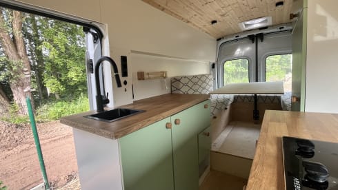 Poppy – Ford Campervan (2019) 2p + huisdier