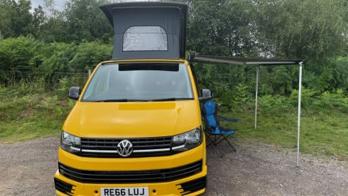 Bee – Meet Bee - VW CamperVan T6