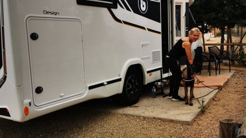 El Toro – Benimar mileo 296