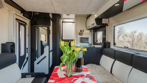 4-seater Ford Roller Team automatic 170 hp from 2021