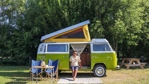 Sanseveria – Volkswagen T2b Westfalia Berlin '77