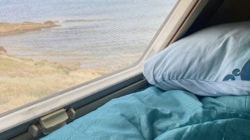 Laika Ecovip 3L in perfette condizioni.