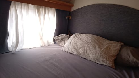 PERFETTO COMPAGNO DI VIAGGIO