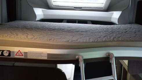 4p Benimar semi-integrated from 2022