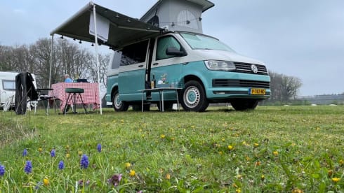 Oceaan blauw – 4 person Volkswagen T6 bus from 2015