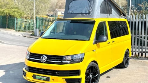 Bee – Meet Bee - VW CamperVan T6