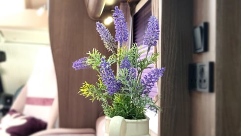 Lenox – Luxury 4 Berth Motorhome – The Perfect Companion for Comfort & Style 