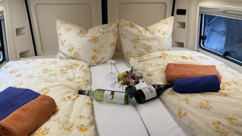 ADI – Yes, our Amundsen on Rügen is waiting for you