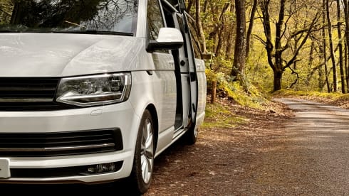 HERMAN THE CAMPER – 2018 Volkswagen Camper