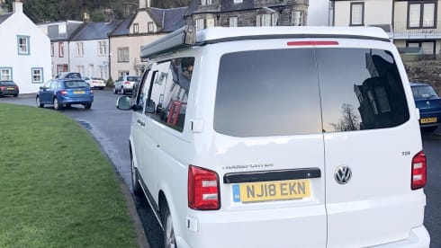 Petunia – Petunia the Campervan