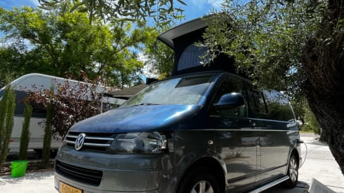BonoBus – 4p Volkswagen bus from 2010
