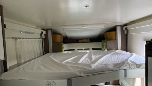 4p Roller Team semi-integrated from 2018