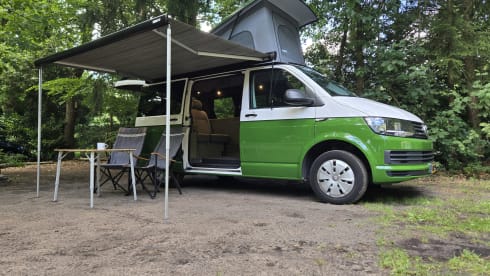 Green Adventurer – 4p Volkswagen bus from 2018
