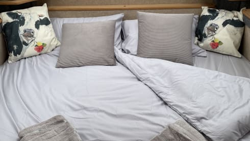 The Clitheroe Camper – 2 berth Fiat campervan 