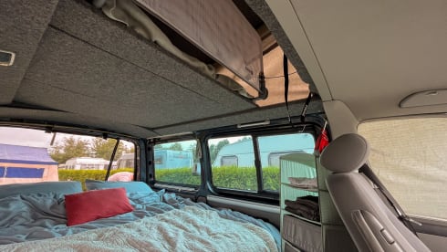 Buzz – Perfect for a trip with young children