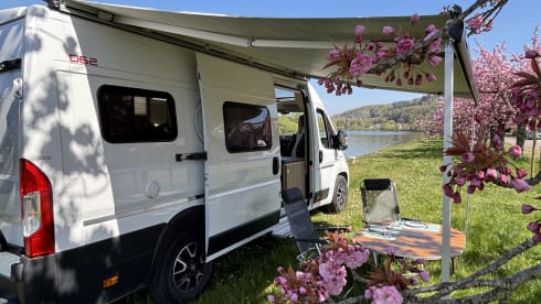 Dreamer – 3p Fiat bus from 2023