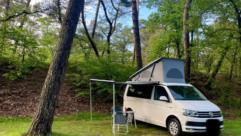 busje  – 4p Volkswagen campervan uit 2019