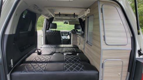 Toyota Alphard Automatic Bi-Fuel (Petrol / LPG)  