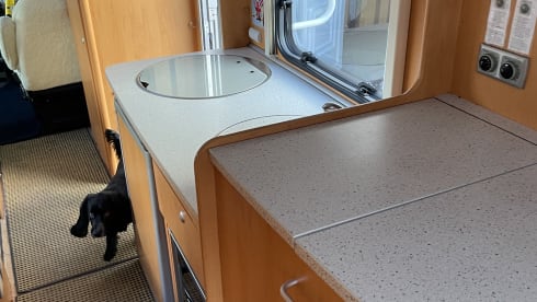 6 berth Hymer alcove from 2006