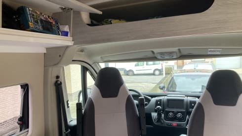 Suzy – 4p Fiat bus from 2020