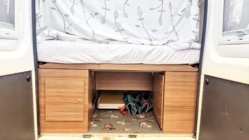 Swan – Nuovo Bravia 636 Swan