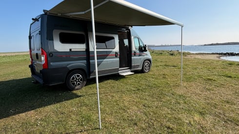 Dethleffs 600 Buscamper - 2023 - Automaat - 2 personen