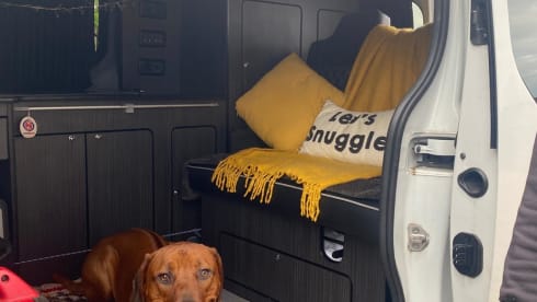 Ranoch The Renault  – 4/6 berth Renault campervan from 2015