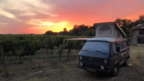 Wally – Weinsberg Volkswagen T3