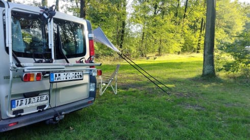 Kompakter Renault Trafic für Camper und Abenteurer