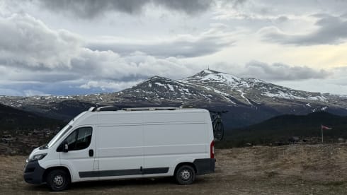 Zutendaal of Wommelgem – 2p Peugeot campervan uit 2017