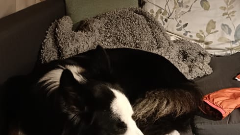 Tess – Camper elegante e confortevole 