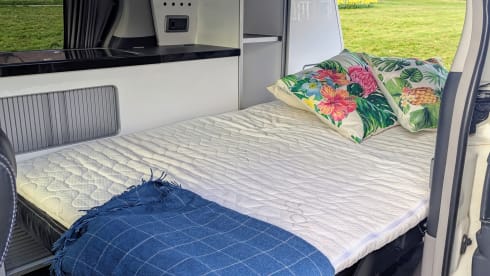 Alph – Cute Campervan 3 berth Toyota Alphard Auto