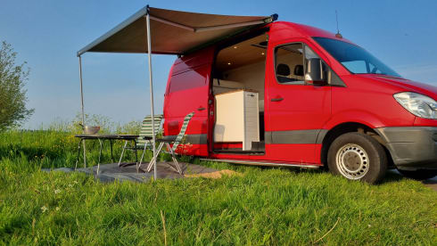 Firefly – The bus camper with a large comfy bed & easy to drive